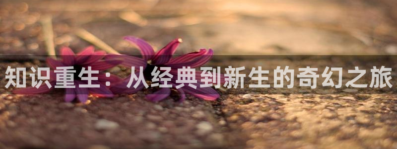jiumo鸠摩搜书：知识重生：从经典到新生的奇幻之旅